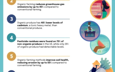 Benefits of Organic Seafood: Health, Taste, and Sustainability
