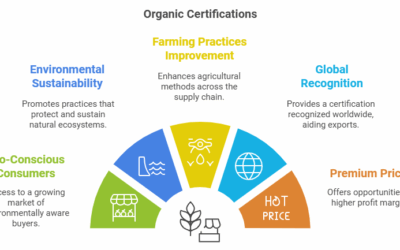 How Organic Certification Ensures Trust and Quality in Seafood